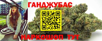 мдпв Новозыбков