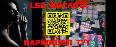 шишки Новодвинск