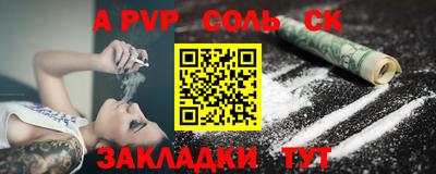шишки Новодвинск