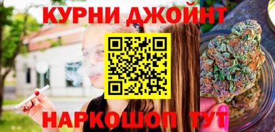 шишки Новодвинск