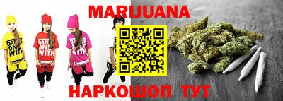 шишки Новодвинск