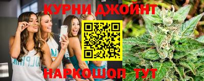 мдпв Новозыбков
