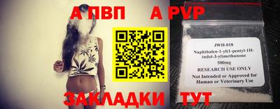 шишки Новодвинск