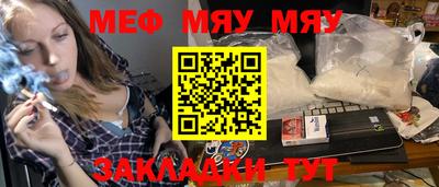шишки Новодвинск
