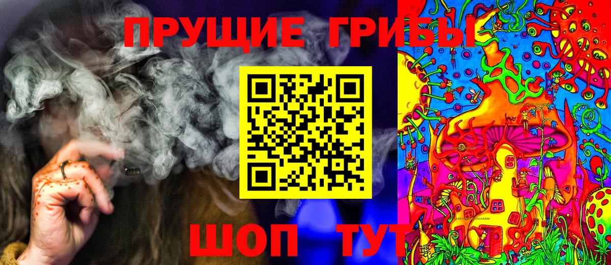 Тимашёвск  Галлюциногенные грибы Cubensis  купить наркоту  Вход с VPN 